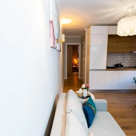 2 In The Same Building, Located In The Old Town * Braşov